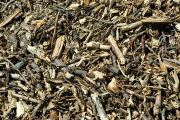 Close-up of wood chips and sticks on the ground