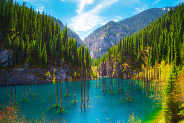Sunken forest in the mountain lake Kaindy in Kazakhstan. Beautiful mountain natural landscape.
