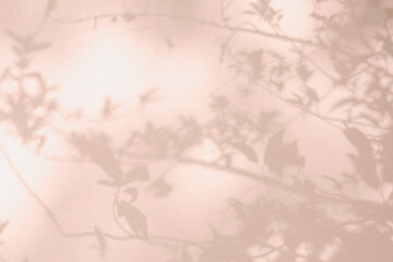 Leaf tree shadow and light on wall pink background. Nature tropical leaves shadows sunshine of plant shade sunlight on white wall texture, rose gold color shadow overlay effect foliage mockup