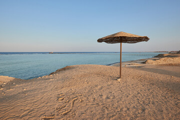 Natural umbrella on sandy beach with ocean view