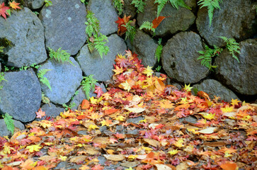石垣と紅葉
