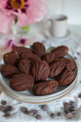 Madeleine with chocolate. Traditional French small cakes 