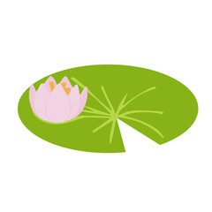 Water lily on a leaf. Vector illustration on white background