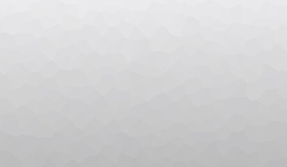 Abstract white and grey color polygon background. Wallpaper design