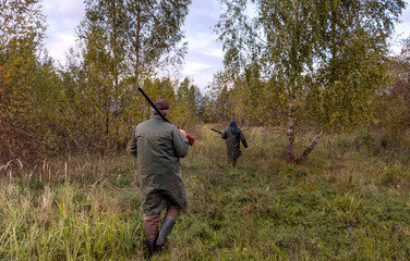 Naklejka premium Hunters on hunt. A hunter walks through forest among trees in search of wild birds or wild animals. Hunters with gun and rifle on hunting in fall season. Hunter during hunting on elk in forest.