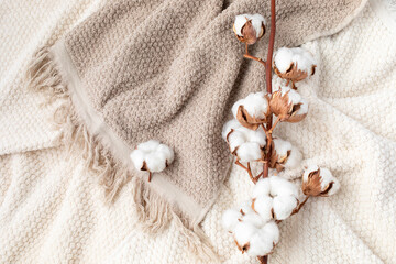 Towels and organic beautiful cotton flowers background in neutral colors top view. Fabric bathroom...