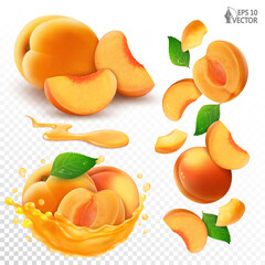 Vector set of apricots. Ripe whole and sliced fruits in a realistic transparent juice splash. Natural falling pieces of cut fresh apricots. 3D food illustration for advertising and packaging design
