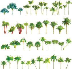 Colorful Palm Tree Set on White Background - Vector EPS