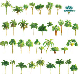 Colorful Palm Tree Set on White Background - Vector EPS