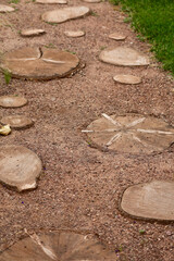 tree trunk path in the park