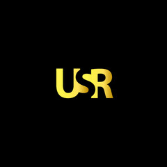 USR negative font letter design vector