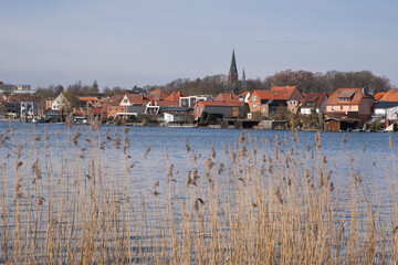 Stadtansicht am Malchower See, vorne Schilfgras, Malchow, Inselstadt, Mecklenburgische Seenplatte,...