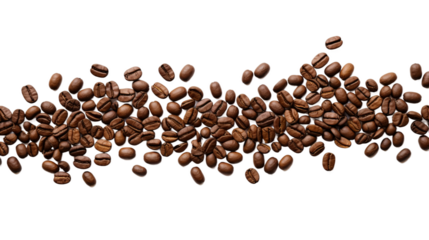 evenly roasted full coffee beans moving in a twisted curve shape horizontally on an isolated white background
