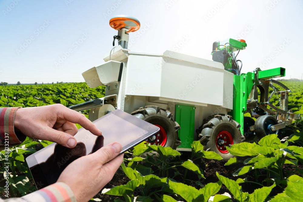 Aufkleber Farmer controls autonomous robot in an agricultural field. Smart farming concept..
