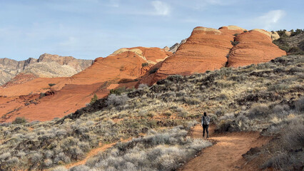 Rear view of a female hiker on a hiking trail winding in front of beautiful, orange colored petrified sand dunes in the desert - Snow Canyon State Park, St George, Utah, USA © Madeleine Deaton