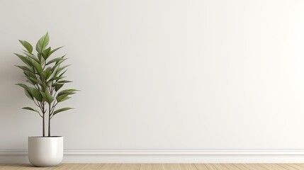 Fototapeta premium Minimalist Interior Design Featuring a Palm tree Plant and Sunlight Streaming Across a White Wall