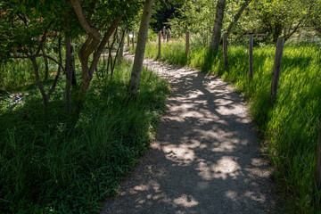 Fototapeta premium Serine walking trail leading through a park