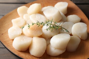 Fresh raw scallops and thyme on wooden table, closeup