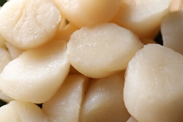 Fresh raw scallops as background, closeup view