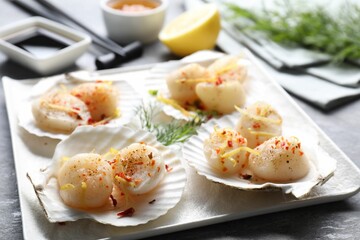 Raw scallops with spices, lemon zest and shells on grey table, closeup
