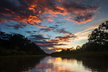 A sunset over the Amazonian jungle is a breathtaking spectacle of nature, offering a mesmerizing display of colors and a sense of tranquility that envelops the vast expanse of the rainforest
