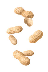 Unpeeled peanuts in air on white background