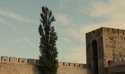 Naklejka premium Remains of the castle and blue sky