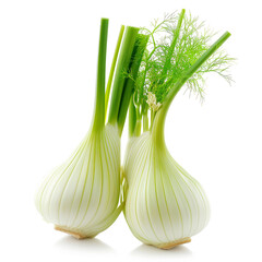 Fennel on Isolate white background.