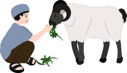 muslim boy feeding sheep