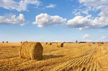A field with straw bales after harvest, farmer on tractor in fields making straw bales on background the sky with white clouds