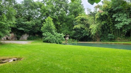 Fonroque d'Eymet, Périgord, Dordogne, Nouvelle Aquitaine, France, Europe
