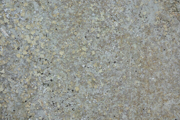 Old smooth gray concrete surface covered with lichen. Background. Texture.