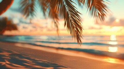 Fototapeta premium Summer blurred natural panoramic background of tropical beach with palm trees and golden sand at sunset