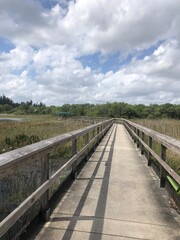 Obraz premium wooden bridge over the river