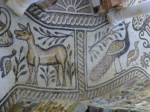 Ancient mosaics of baptistery, Ruins of the ancient city, Stobi, North Macedonia. City was founded in 359 BC.