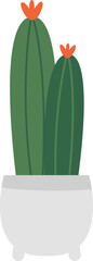 Cactus, potted plant icon.