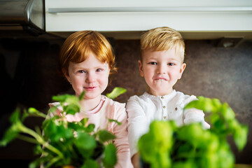 Little boy and girl sitting on kitchen counter, holding fresh herbs in pots.