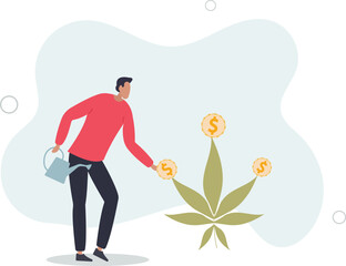 businessman watering cannabis plant with dollar money earning.flat vector illustration.