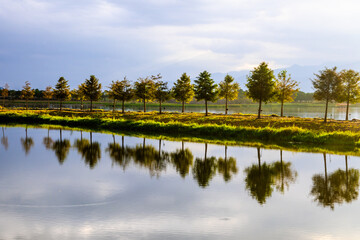 Scenic Lake with Tree Reflections on a Calm Sunny Day in Chishang, Taiwan