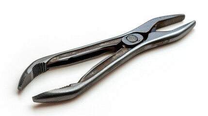 Obraz premium a pair of pliers, isolated on a white studio background