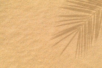 Tropical palm leaves shadow effect on beach sand. Palm leaf silhouette over brown sand surface....