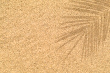 Fototapeta na wymiar Tropical palm leaves shadow effect on beach sand. Palm leaf silhouette over brown sand surface. Natural pattern summer texture background with copy space. Mockup for product. Holiday concept