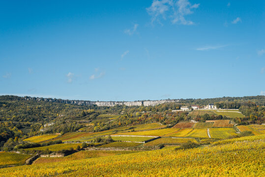 Paysage de vignes en automne. Bourgogne en automne. C&ocirc;te d'Or pendant l'automne. Vignes dor&eacute;es. P&eacute;riode des vendanges. Viticulture et agriculture en Bourgogne, France. Saint Romain 21190