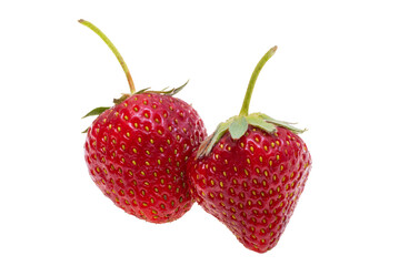 strawberry isolated