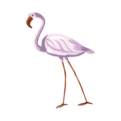 flamingo clip art. vector flamingo clip art or illustration isolated on white background. vector illustration of a beautiful flamingo on white background.