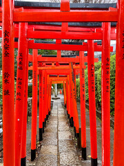 Vibrant red torii gates line a path in a serene japanese shrine with kanji inscriptions