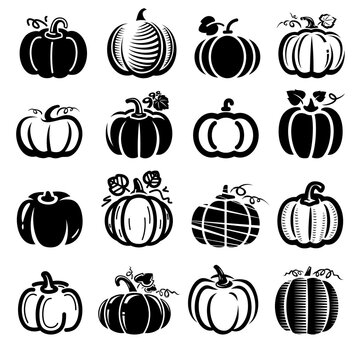 Pumpkin set. Collection pumpkin icon. Vector