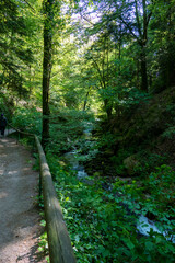 Fluß Grobbach in Baden-Baden zum Wasserfall Geroldsau