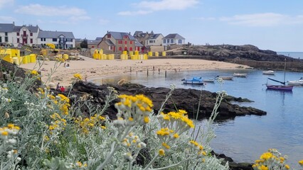 Batz-sur-mer, Loire Atlantique, Pays de Loire, France, Europe © Nikky