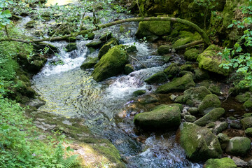 Fototapeta premium Fluß Grobbach in Baden-Baden zum Wasserfall Geroldsau